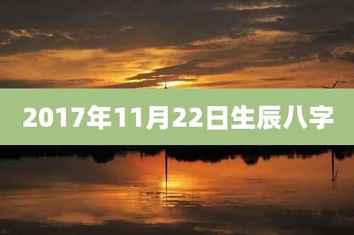 2017年11月22日生辰八字