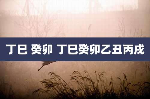 丁巳 癸卯 丁巳癸卯乙丑丙戌