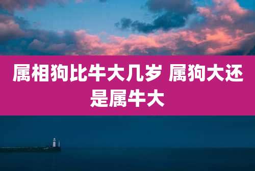属相狗比牛大几岁 属狗大还是属牛大