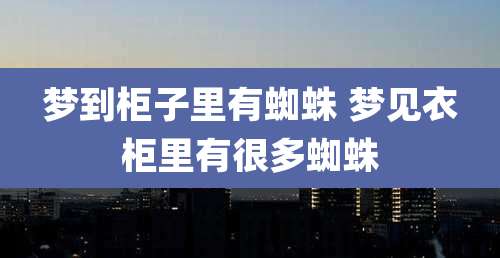 梦到柜子里有蜘蛛 梦见衣柜里有很多蜘蛛