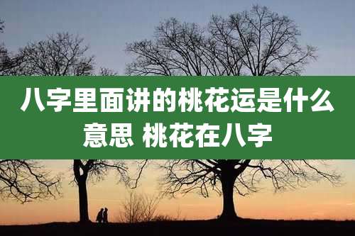 八字里面讲的桃花运是什么意思 桃花在八字
