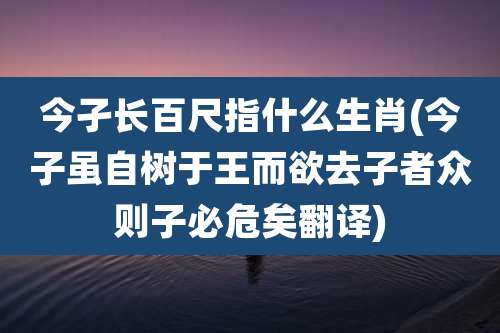 今孑长百尺指什么生肖(今子虽自树于王而欲去子者众则子必危矣翻译)