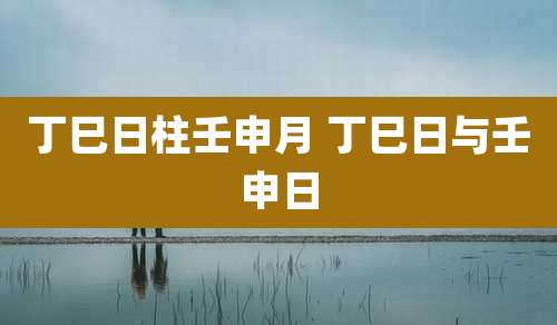 丁巳日柱壬申月 丁巳日与壬申日