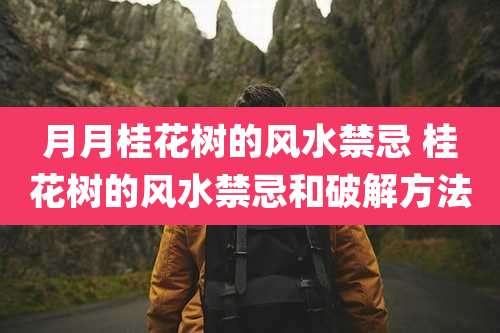 月月桂花树的风水禁忌 桂花树的风水禁忌和破解方法