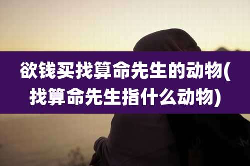 欲钱买找算命先生的动物(找算命先生指什么动物)