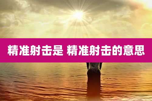精准射击是 精准射击的意思