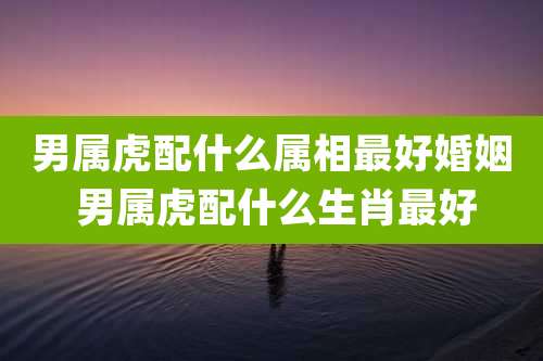 男属虎配什么属相最好婚姻 男属虎配什么生肖最好