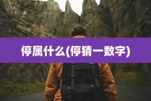 停属什么(停猜一数字)