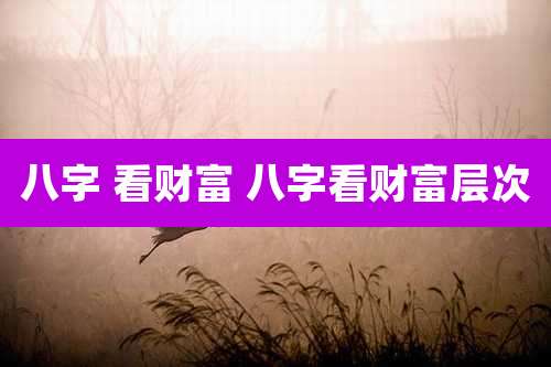 八字 看财富 八字看财富层次