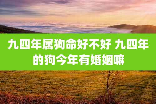 九四年属狗命好不好 九四年的狗今年有婚姻嘛