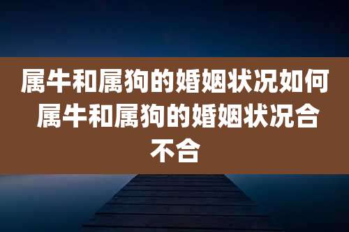 属牛和属狗的婚姻状况如何 属牛和属狗的婚姻状况合不合