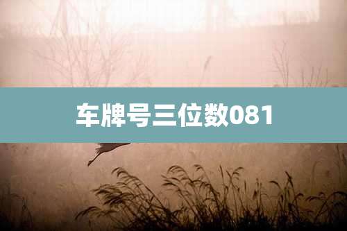 车牌号三位数081