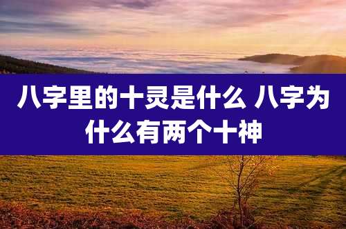 八字里的十灵是什么 八字为什么有两个十神