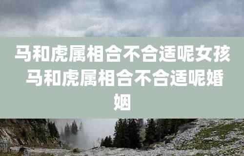 马和虎属相合不合适呢女孩 马和虎属相合不合适呢婚姻