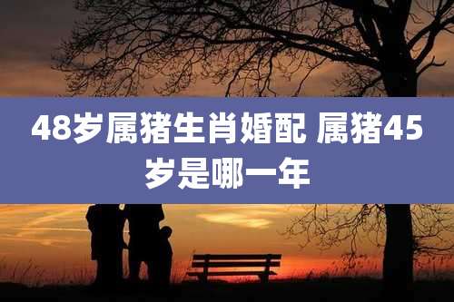 48岁属猪生肖婚配 属猪45岁是哪一年