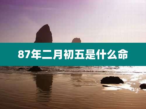 87年二月初五是什么命