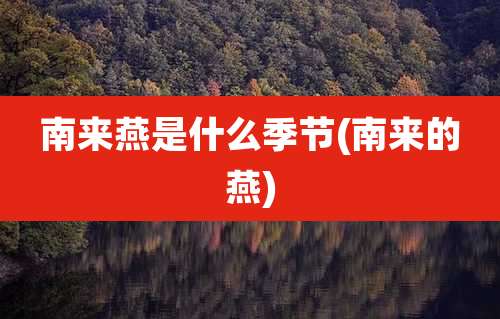 南来燕是什么季节(南来的燕)