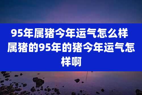 95年属猪今年运气怎么样 属猪的95年的猪今年运气怎样啊