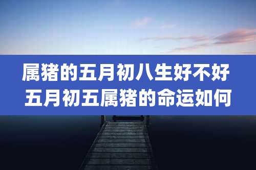 属猪的五月初八生好不好 五月初五属猪的命运如何