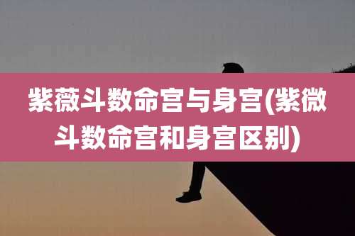 紫薇斗数命宫与身宫(紫微斗数命宫和身宫区别)