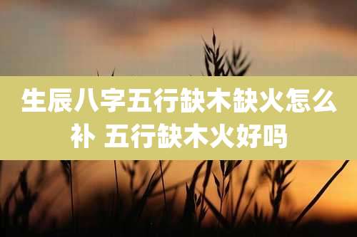 生辰八字五行缺木缺火怎么补 五行缺木火好吗