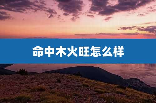 命中木火旺怎么样