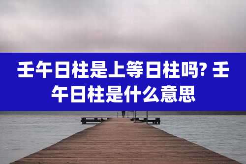 壬午日柱是上等日柱吗? 壬午日柱是什么意思