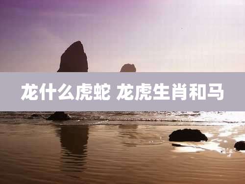 龙什么虎蛇 龙虎生肖和马
