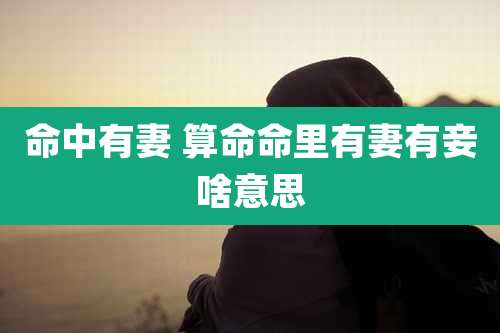 命中有妻 算命命里有妻有妾啥意思