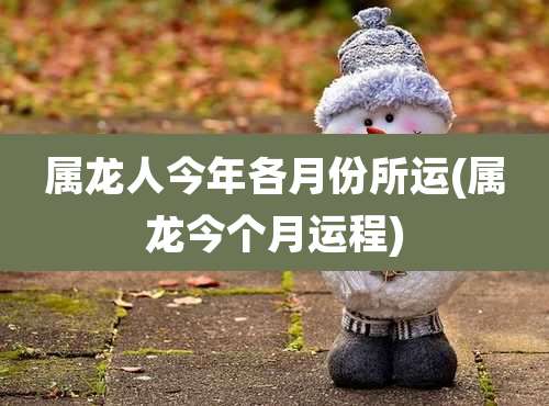 属龙人今年各月份所运(属龙今个月运程)