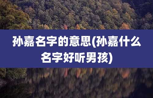 孙嘉名字的意思(孙嘉什么名字好听男孩)