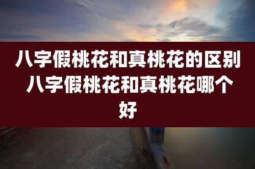 八字假桃花和真桃花的区别 八字假桃花和真桃花哪个好