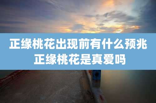 正缘桃花出现前有什么预兆 正缘桃花是真爱吗