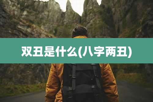 双丑是什么(八字两丑)