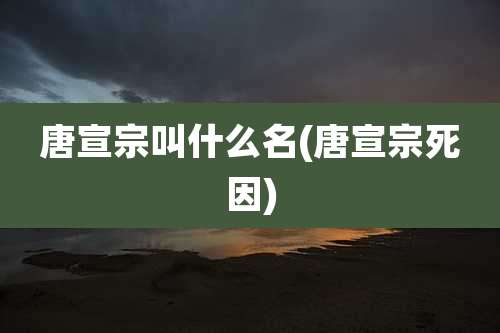 唐宣宗叫什么名(唐宣宗死因)