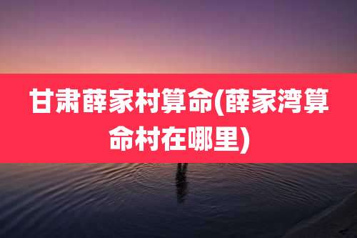 甘肃薛家村算命(薛家湾算命村在哪里)