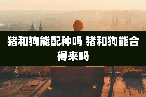 猪和狗能配种吗 猪和狗能合得来吗