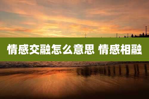 情感交融怎么意思 情感相融