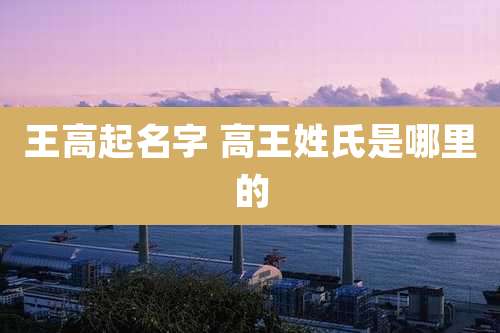 王高起名字 高王姓氏是哪里的