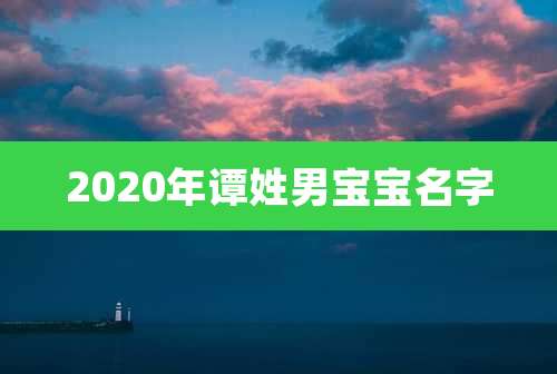 2020年谭姓男宝宝名字