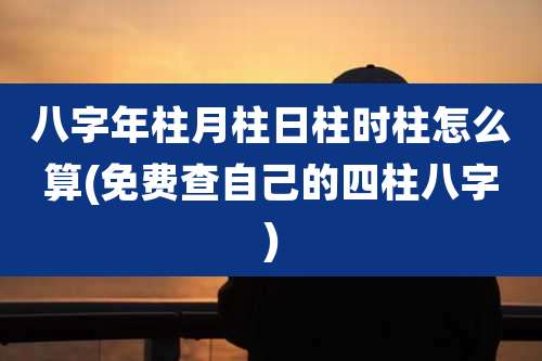 八字年柱月柱日柱时柱怎么算(免费查自己的四柱八字)