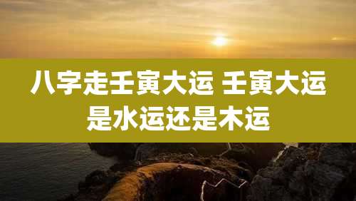 八字走壬寅大运 壬寅大运是水运还是木运