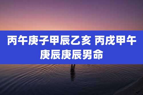 丙午庚子甲辰乙亥 丙戌甲午庚辰庚辰男命