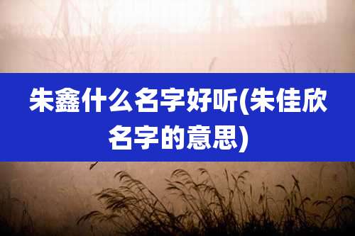朱鑫什么名字好听(朱佳欣名字的意思)