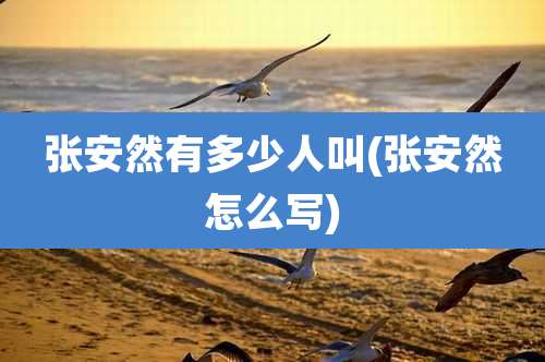 张安然有多少人叫(张安然怎么写)