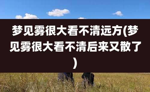 梦见雾很大看不清远方(梦见雾很大看不清后来又散了)