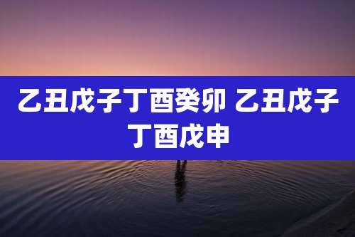 乙丑戊子丁酉癸卯 乙丑戊子丁酉戊申