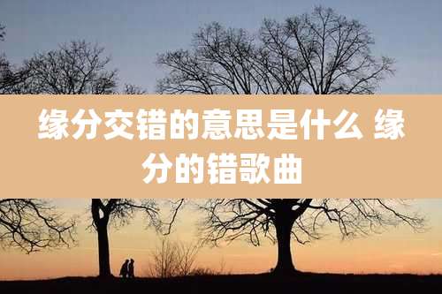 缘分交错的意思是什么 缘分的错歌曲