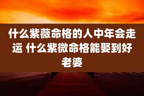 什么紫薇命格的人中年会走运 什么紫微命格能娶到好老婆