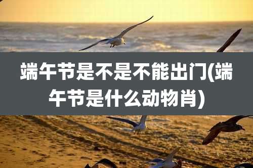 端午节是不是不能出门(端午节是什么动物肖)